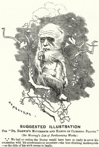 Kreskówka dziurkacza: sugerowana ilustracja do ruchów i zwyczajów pnących dr. Darwina (rycina)