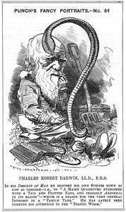 Karol Darwin (1809-1882) Angielski przyrodnik. Ewolucja przez dobór naturalny. Karykatura Edwarda Linleya Sambourne