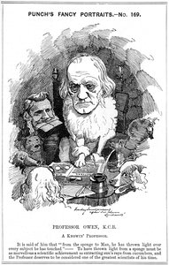 Richard Owen, angielski zoolog, 1884 autorstwa Edward Linley Sambourne