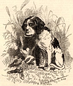 William GGV Vernon Harcourt (1827-1904) autorstwa Edward Linley Sambourne