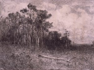 Krajobraz, scena leśna autorstwa Edward Mitchell Bannister