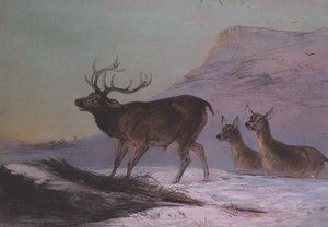 Zima (pastel)