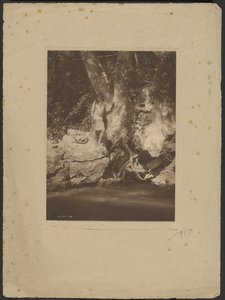 Apache-Black River (przy jaworze) autorstwa Edward S. Curtis
