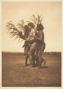 Ceremonia medyczna Arikara - kaczki autorstwa Edward S. Curtis