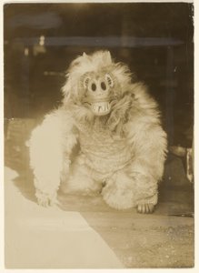 W masce wilka autorstwa Edward S. Curtis