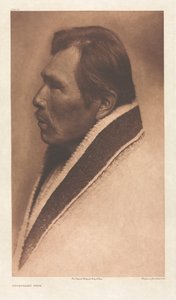 Portfolio IX, Tablica 319: Typ Snoqualmu