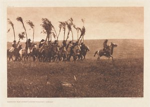 Portfolio VI, Tablica 205: Przynoszenie wierzb w Sweat-Lodge - Piegan autorstwa Edward S. Curtis