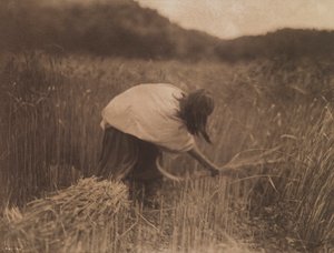 Apache Reaper autorstwa Edward S. Curtis