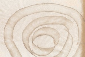 Płynne, organiczne krzywizny autorstwa Edward Selkirk