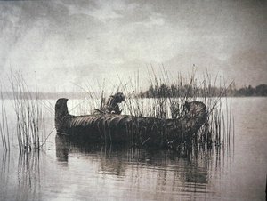 The Rush Gatherer, Montana (czarno-białe zdjęcie) autorstwa Edward Sheriff Curtis