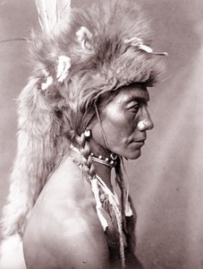 Żółta Nerka, Piegan autorstwa Edward Sheriff Curtis