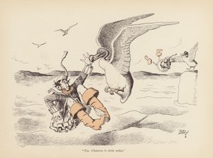 Zakręcone ogony: Albatros (kolor lito) autorstwa Edward Tennyson Reed