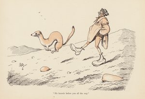 Tails with a Twist: The Weaser (kolor lito) autorstwa Edward Tennyson Reed
