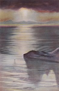 Hut Point ze Wzgórza Obserwacyjnego, 1911, 1913. autorstwa Charles Edward Wilson