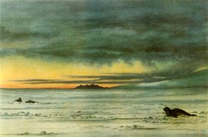 „Patrząc na północ w McMurdo Sound”, 1911, 1946. autorstwa Edward Wilson
