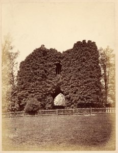 Widok szaleństwa w Roundhay Park (druk albumowy) autorstwa Edward Wormald