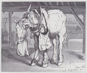 Koń wozowy autorstwa Edwin (after) Landseer
