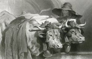 Woły przy czołgu, Genewa (rycina) autorstwa Edwin (after) Landseer