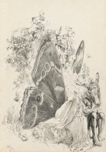 Bottom and Titania, ilustracja do Nocy przesilenia letniej autorstwa Edwin Austin Abbey