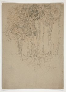 Szkic gaju drzew autorstwa Edwin Austin Abbey