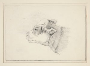 Szkic owcy autorstwa Edwin Austin Abbey