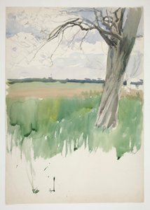 Studium pola i drzewa autorstwa Edwin Austin Abbey