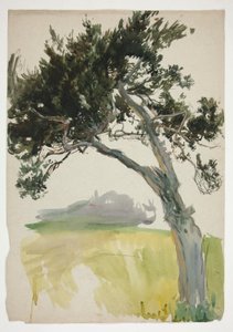 Studium drzewa i pola autorstwa Edwin Austin Abbey