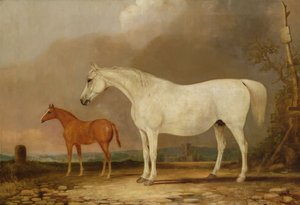 Nieznany obraz autorstwa Edwin Cooper