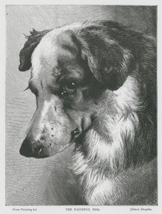 Wierny pies (grawerunek) autorstwa Edwin Douglas