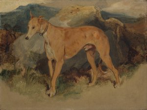 Deerhound, 1826. autorstwa Edwin Landseer