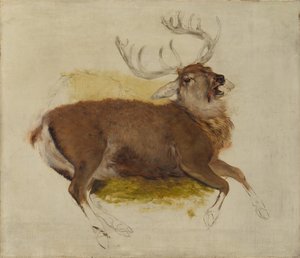 Umierający Jeleń, ca. 1830. autorstwa Edwin Landseer