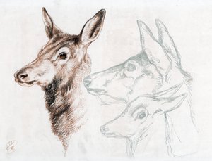 Faksymile rysunku Sir E Landseera, 1874. autorstwa Edwin Landseer