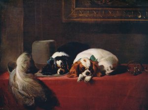 King Charles Spaniele The Cavaliers Pets, 1845, c1915