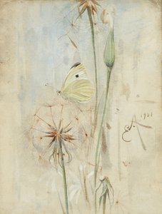 Motyl i oset (akwarela)