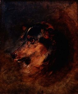 Badanie głowy psa collie autorstwa Edwin Landseer