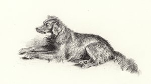 Seter Pies autorstwa Edwin Landseer