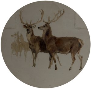 Jeleń w krajobrazie (Studia jelenia) autorstwa Edwin Landseer