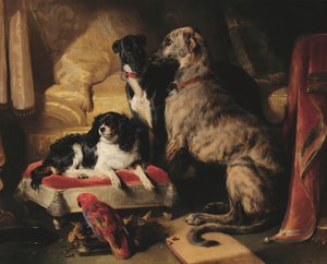 Hector, Nero i Dash z papugą Lory autorstwa Edwin Landseer