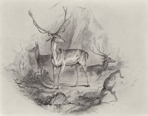 W Dolinie autorstwa Edwin Landseer