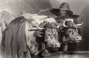 Woły przy zbiorniku, Genewa, Szwajcaria autorstwa Edwin Landseer
