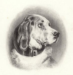 Ogar autorstwa Edwin Landseer