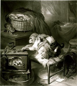 Kocia łapa (rycina) autorstwa Edwin Landseer