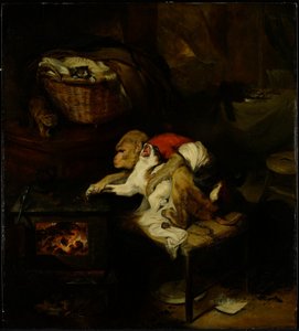 Kocia łapa, ok. 1824 (studium patrz 488149) autorstwa Edwin Landseer