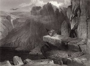 Gniazdo orła autorstwa Edwin Landseer