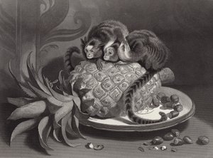 Marmozeci autorstwa Edwin Landseer