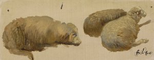 Trzy owce w spoczynku (olej na papierze) autorstwa Edwin Landseer