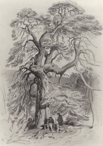 Pod starą jodłą autorstwa Edwin Landseer
