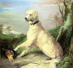 Czekając na mistrza (olej na płótnie) autorstwa Edwin Landseer