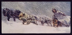 Esquimaux Sledge Dog Team (kolorowe zdjęcie) autorstwa Edwin Noble