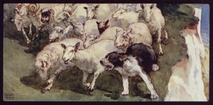 Owczarek Bobtailed i Flock on the Cliffs (kolor lito) autorstwa Edwin Noble